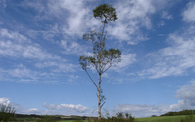 �g�C���̂��Ƃ̌y���A�R�� �����Y�܂Ȃ��I